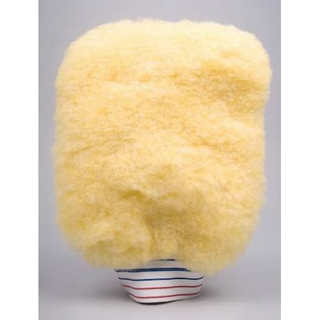 Presta Products LARGE WASH MITT 810008